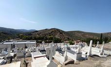 La tala de los cipreses del cementerio divide a un pueblo de Granada
