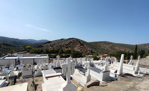 La tala de los cipreses del cementerio divide a un pueblo de Granada