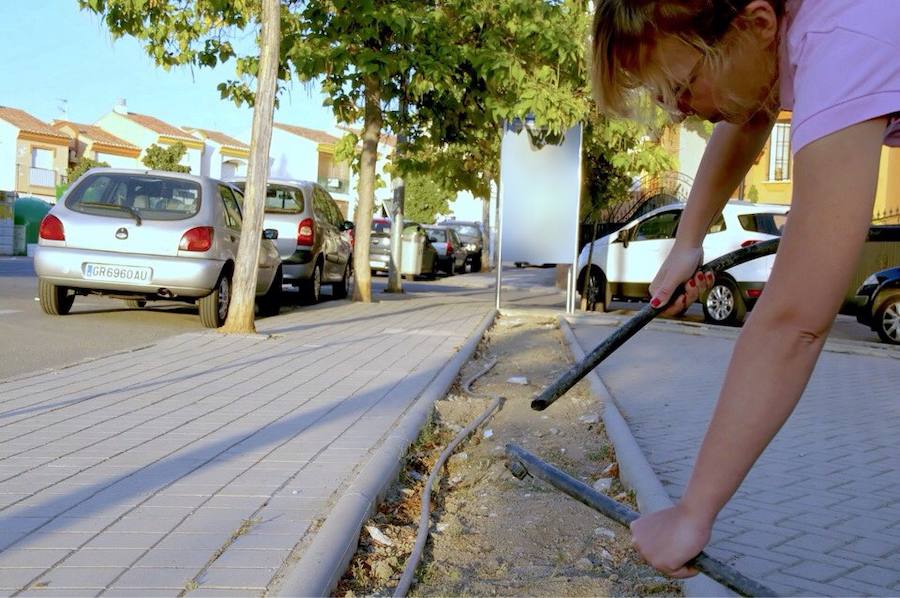 Una ola de vandalismo desbarata los jardines de Huétor Vega