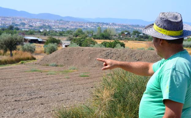huétor vega se abona a los huertos sociales