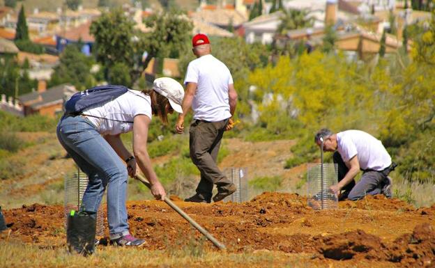 Huétor Vega convoca a los vecinos para reforestar encinas