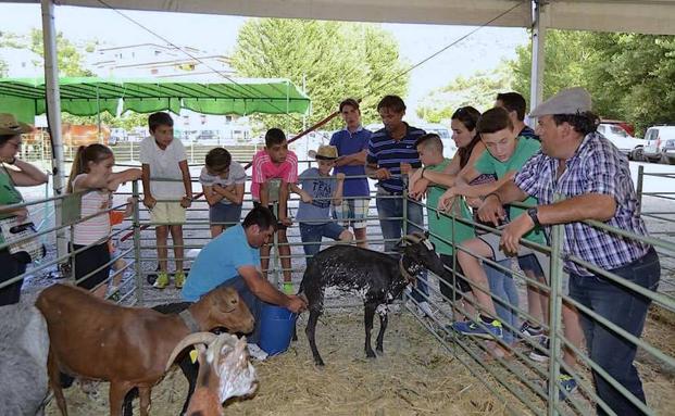 Monachil acoge una feria agroganadera este fin de semana