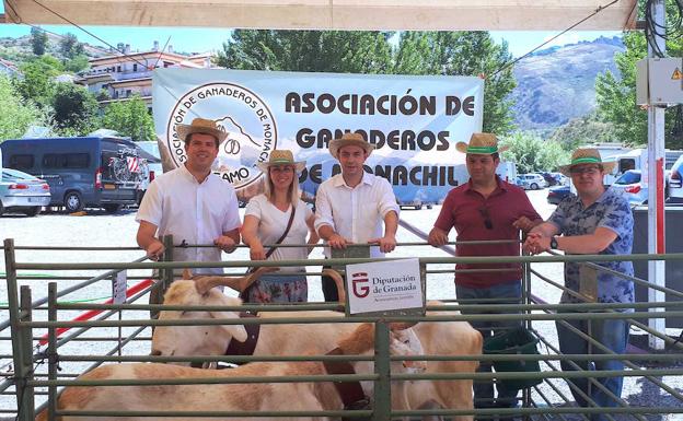 Más de 500 personas visitan la Feria Agroganadera de Monachil