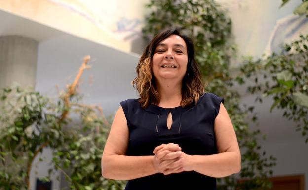 Informe de la OMIC de Huétor Vega: 178 expedientes en 2018