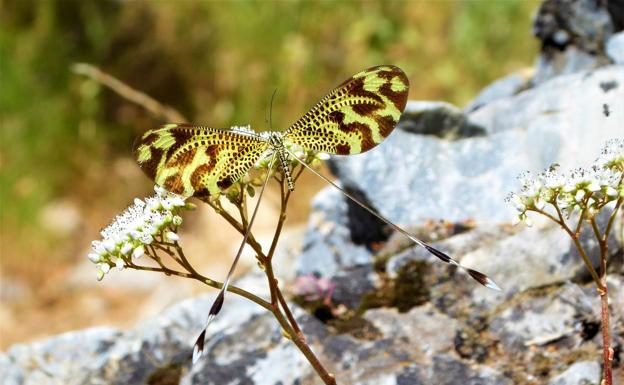 La peña El Albondigón de Huétor muestra la belleza de la naturaleza
