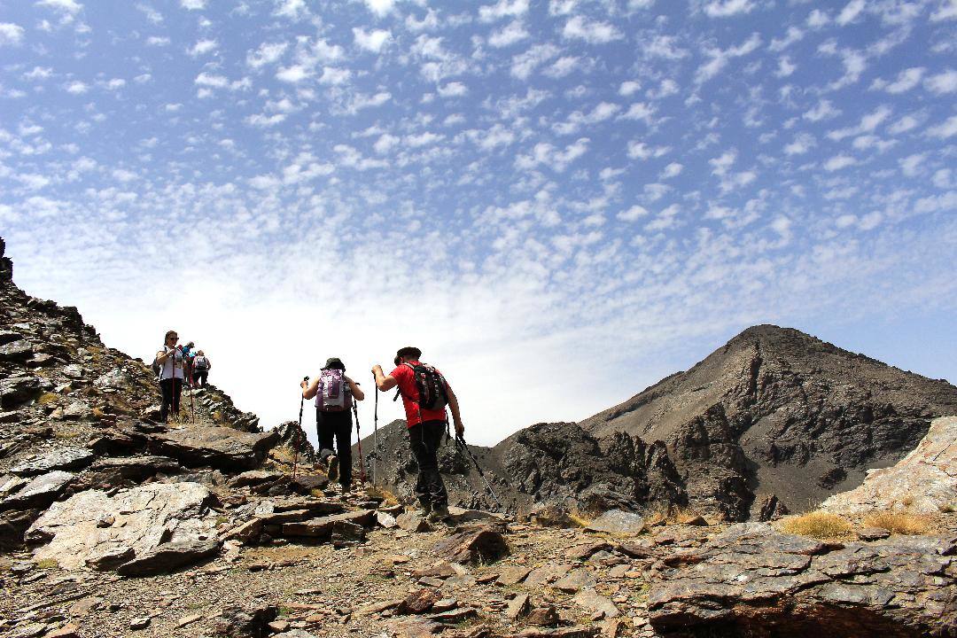 Concurso de fotografía de la peña El Albondigón de Huétor Vega