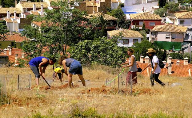 El PSOE de Huétor Vega pide más medios para ‘Operación Encina’