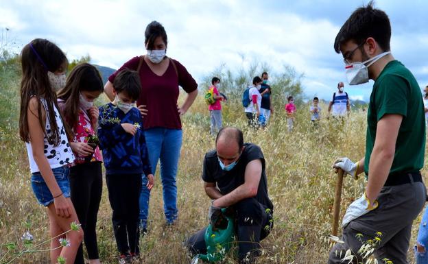 Activistas y vecinos plantan 500 árboles en Huétor Vega