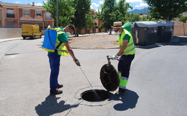Huétor Vega planta cara a la proliferación de cucarachas