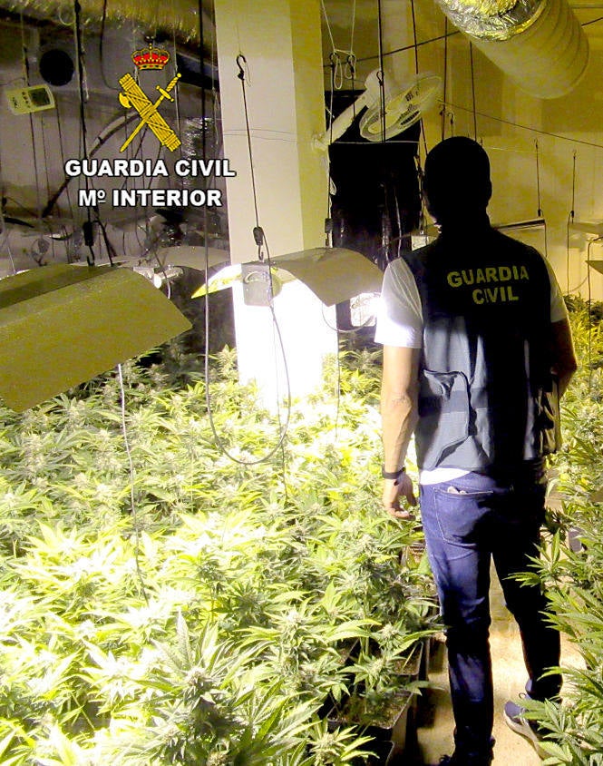 Cae un centro de producción de marihuana localizado en una vivienda de Huétor Vega