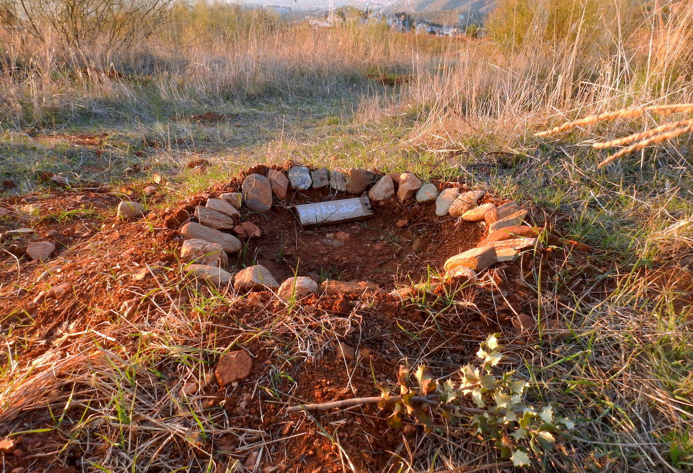 Denuncian el destrozo de árboles plantados por niños en el Camino de los Neveros