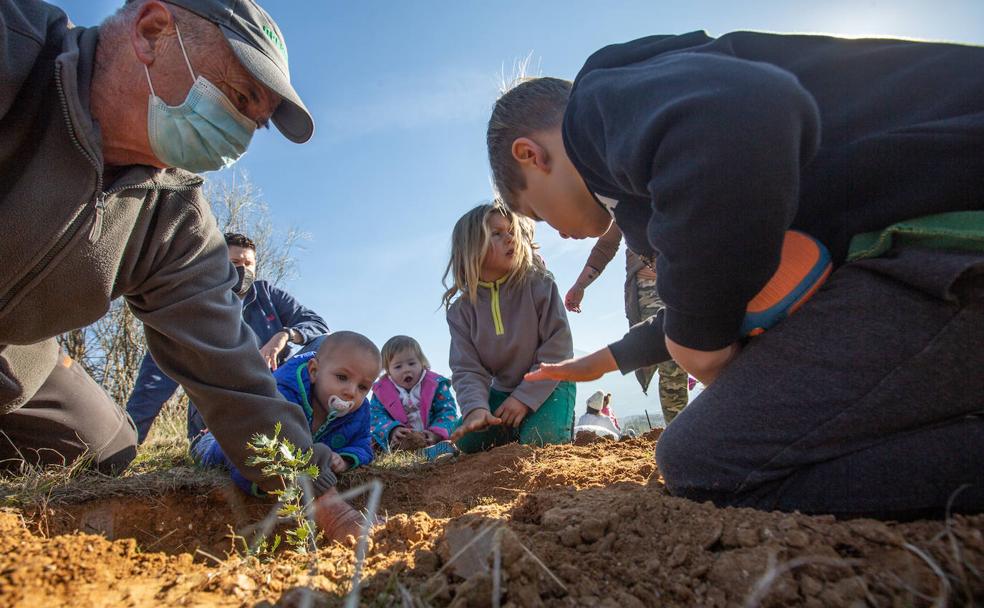 Los niños y niñas participan de forma activa en la plantación de los árboles./Alfredo Aguilar
