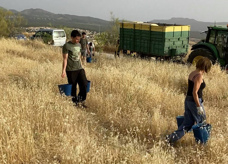 La Fiesta del Riego se celebrará en Huétor Vega todos los miércoles