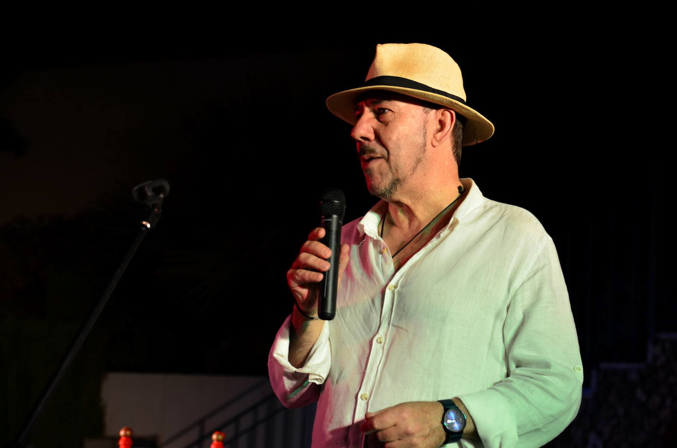 Así ha sido el Festival Flamenco de Huétor Vega