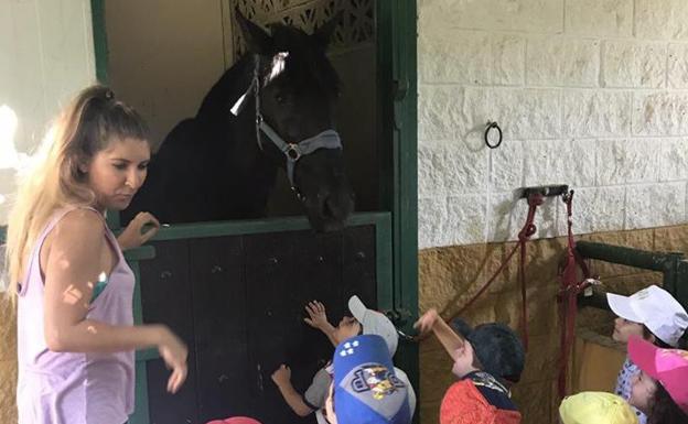 Pequeños de uno a tres años disfrutan de los animales en una clase de inglés
