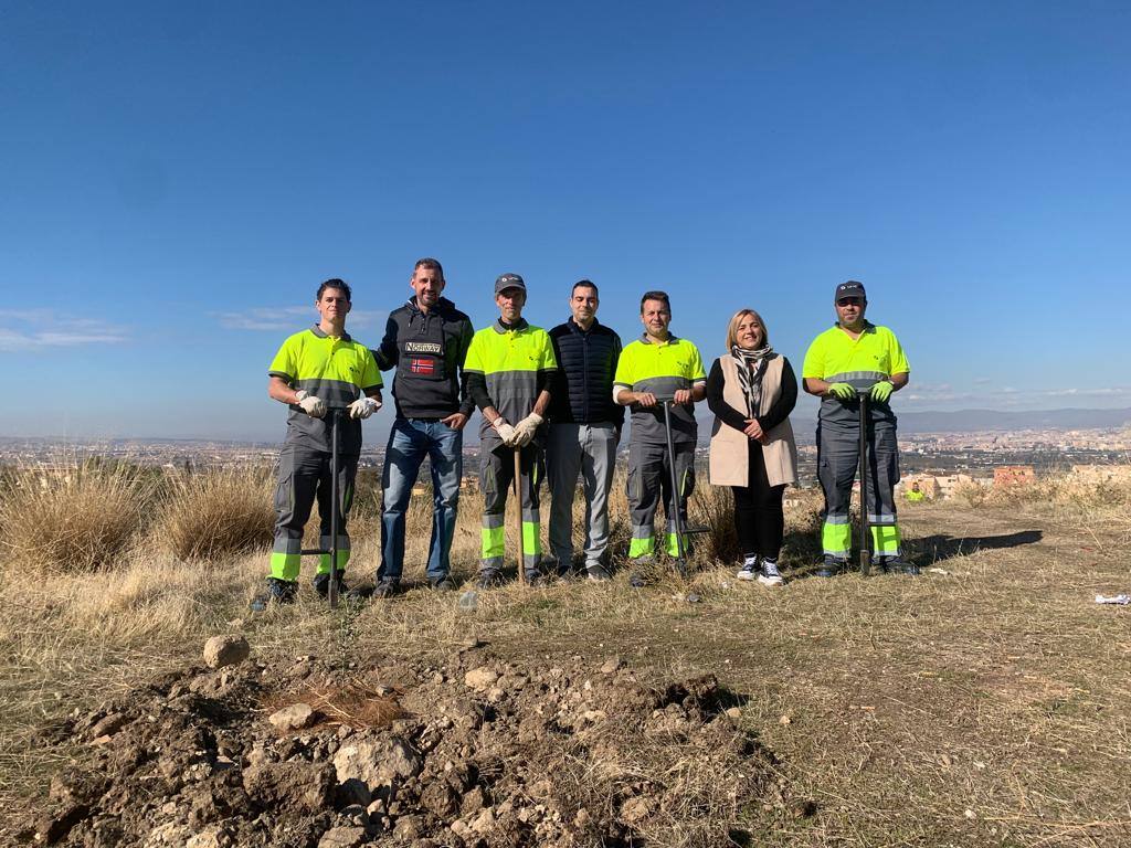 La Zubia inicia la plantación de 31.500 árboles: la reforestación más importante de su historia