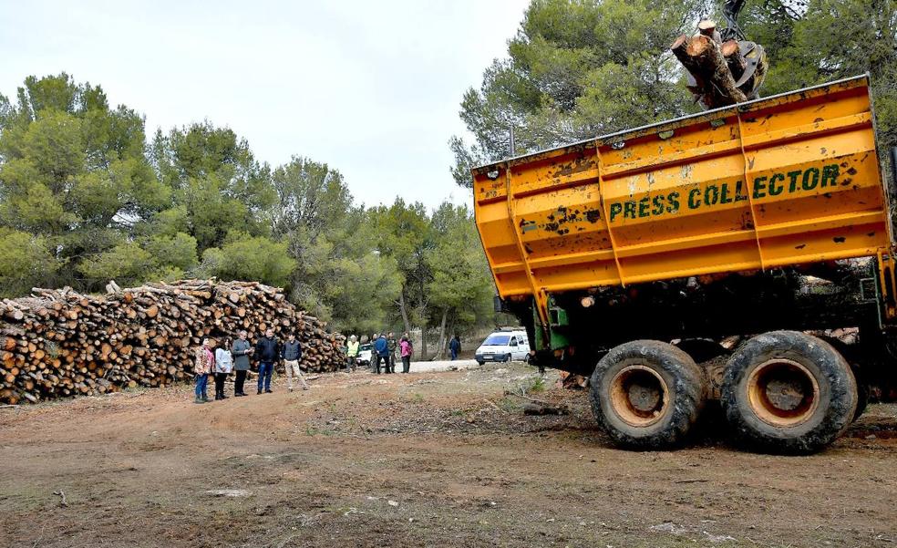 Medio Ambiente interviene en la vegetación de dos rodales en Monte del Pueblo de La Zubia