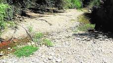 Cibercampaña para salvar el río Aguas de su desaparición