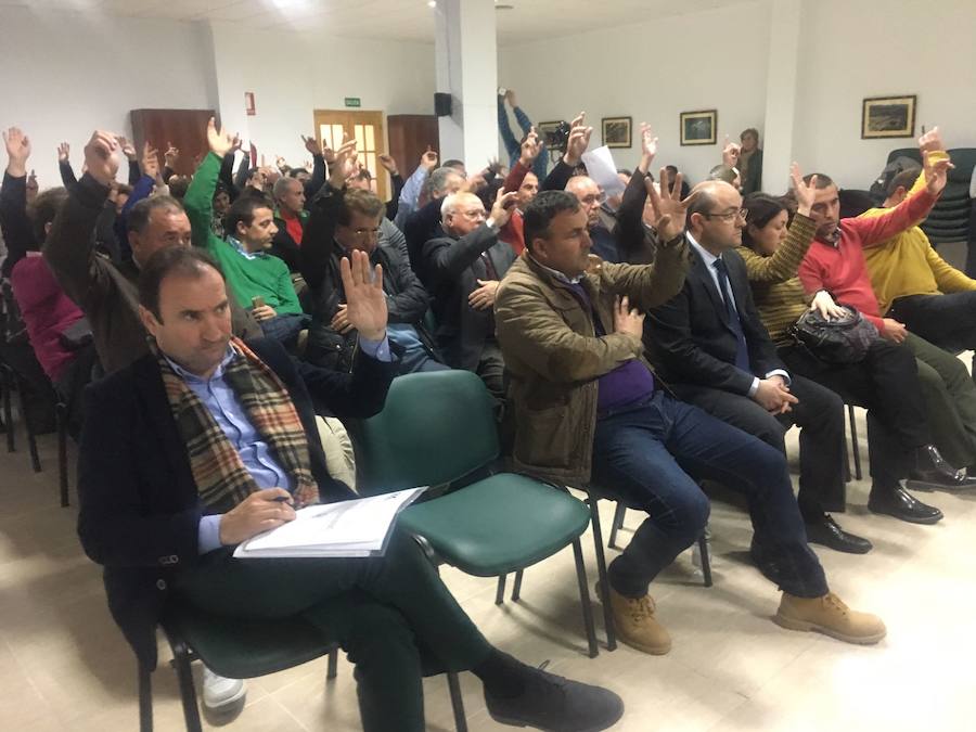 Todos miran a la basura
