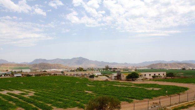 Más de 19.000 hectáreas del Levante se quedan sin agua por el 'cierre' del Negratín