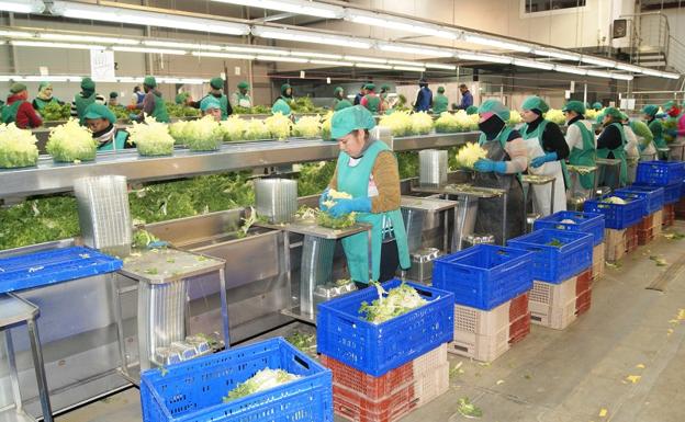 Cuadraspania amplia sus instalaciones gracias al Programa de Desarrollo Rural