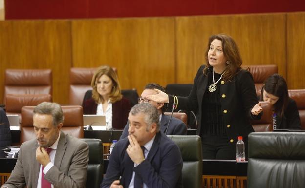 El PP asegura llevar recogidas más de 20.000 firmas ante la situación del hospital