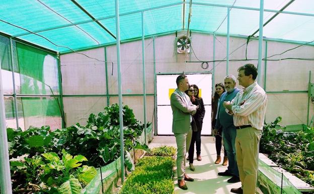 SAT Los Guiraos elaborará y exportará productos gourmet