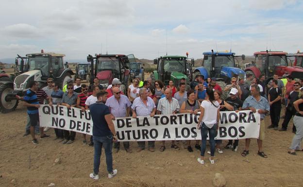 Adif propone reducir en 157 hectáreas el área de reserva de tortuga mora en las obras del AVE con Murcia