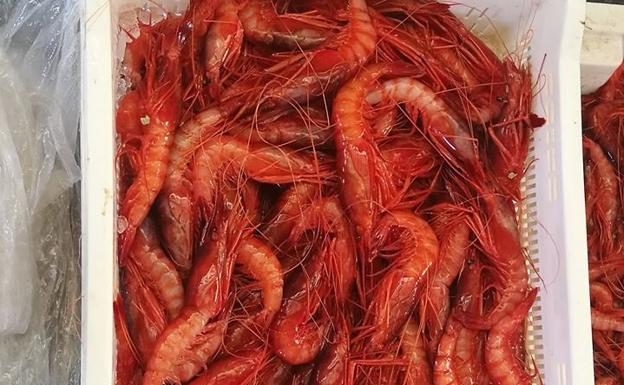 La gamba roja de Garrucha, un paso más cerca de conseguir la Indicación Geográfica Protegida