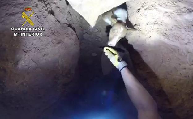 Rescatan a un perro atrapado en una cueva de Turre