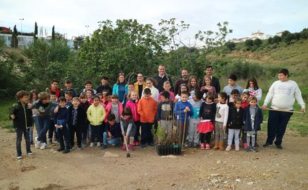Unos 400 escolares de Turre participan en una jornada de reforestación
