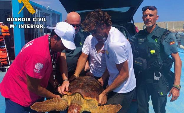 Aparece una tortuga boba entre redes de pesca y plásticos en una playa de Garrucha