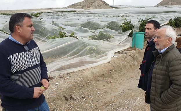 El subdelegado del Gobierno visita Antas para valorar los daños tras el paso de la borrasca Gloria