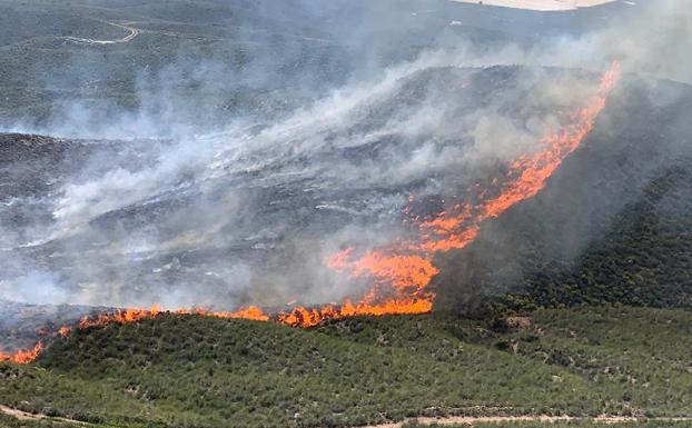 Un total de diez hectáreas quemadas en el incendio forestal de Cuevas del Almanzora
