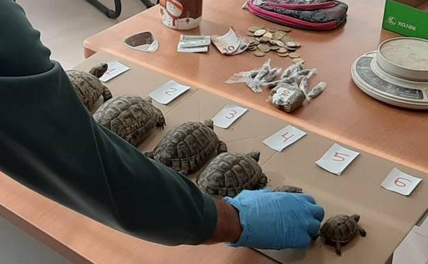 Desmantelan un punto de droga tras cazar a dos consumidores con hachís en un control de coronavirus