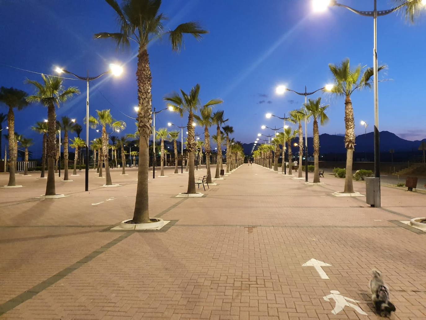 Renovación del alumbrado en el paseo marítimo de San Juan de los Terreros, en Pulpí