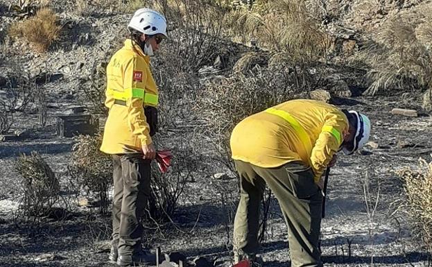 La «mala manipulación» de unas colmenas, posible origen del incendio de Sierra Cabrera