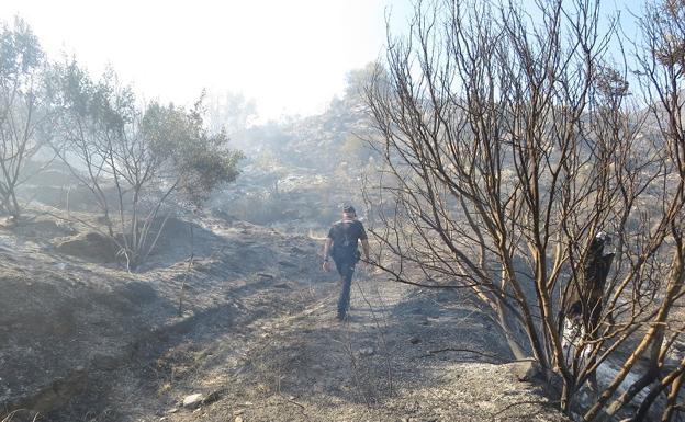 Denunciada una persona acusada de originar el incendio de Sierra Cabrera