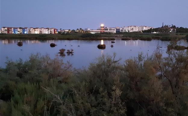 El Salar de los Canos en la recta final para su declaración como humedal andaluz