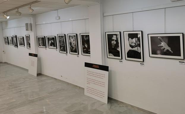 Últimos días para visitar la exposición «Donde Nace lo Temprano» en Vera