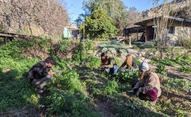 Sunseed, una ecoaldea fuera de la red en Sorbas