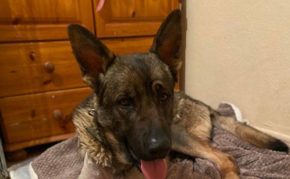 Maddy necesita ayuda para operarse