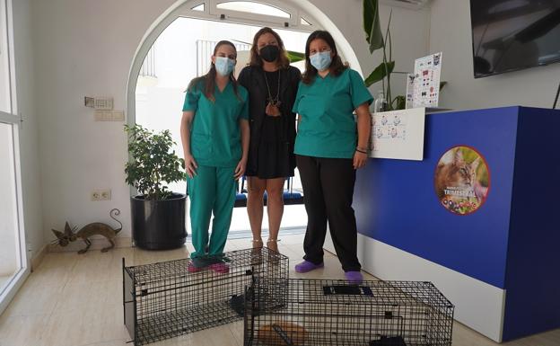 Carboneras implanta el método CES para el control de gatos callejeros