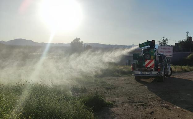 El Ayuntamiento inicia la campaña de control de mosquitos, pulgas y otros insectos