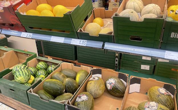 Alertan de un «repunte» de robos de sandías en el Levante, donde «desvalijan cultivos enteros»