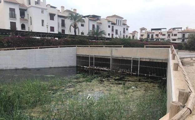 La rambla artificial en el Salar de los Canos, de nuevo llena de vegetación