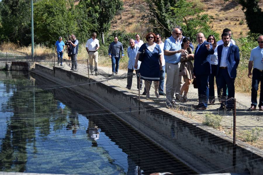El PP dice que "insistirá" en el Congreso para que "la trucha vuelva a Riofrío"