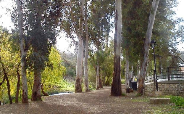 Ninguno como el de otoño