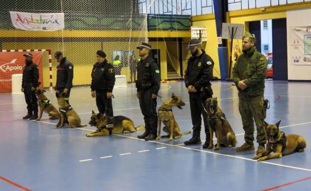 Loja muestra la labor de las unidades caninas en los cuerpos de Seguridad