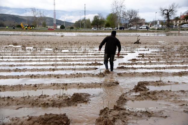 Del alivio de la lluvia al dolor de la inundación en Huétor Tájar